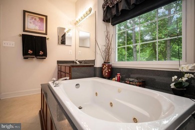Set on scenic, park waterfront overlooking the lake, this home - photo 31