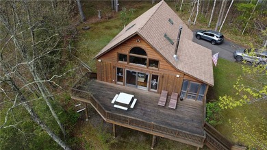 Commanding Views of the East Branch of the Delaware River! This - photo 1