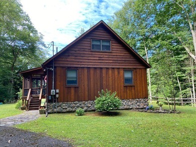 Commanding Views of the East Branch of the Delaware River! This - photo 3