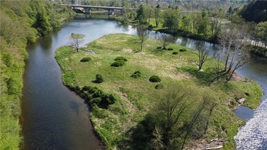 Commanding Views of the East Branch of the Delaware River! This - photo 8
