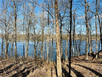 Lake Lot For Sale in Rice Lake, Wisconsin