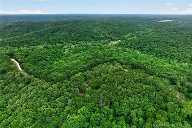 WOW! New Price! Rare opportunity to own 23+ wooded acres with a - photo 3