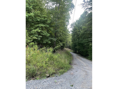 Carters Lake Lot Sale Pending in Ranger Georgia