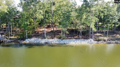 Lake Lot For Sale in Prosperity, South Carolina