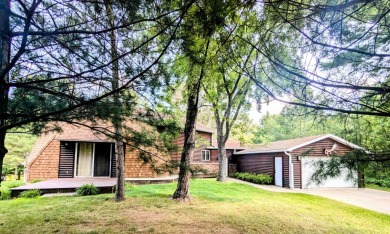 Lake Home For Sale in Arkdale, Wisconsin