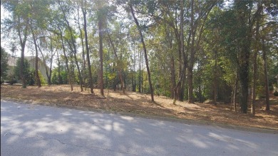 Lake Lot Sale Pending in Seneca, South Carolina