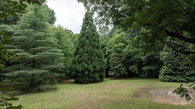 Beautiful Brick home settled on over 2 acres in popular Oconee - photo 49