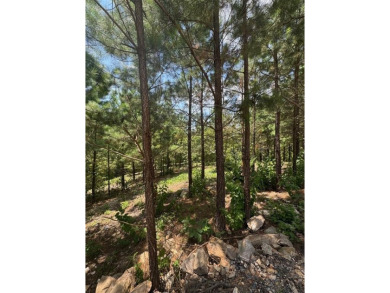 Broken Bow Lake Lot For Sale in Broken Bow Oklahoma