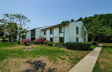 Lake Condo For Sale in Tarpon Springs, Florida