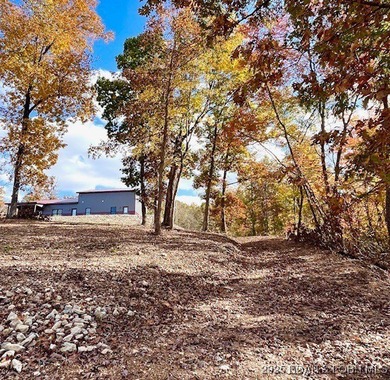 Lake Home For Sale in Barnett, Missouri