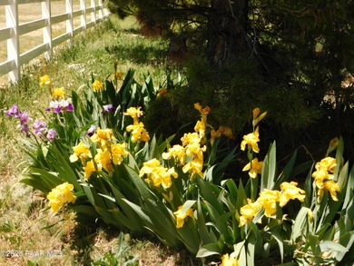 This wonderful home offers the perfect location, situated on one