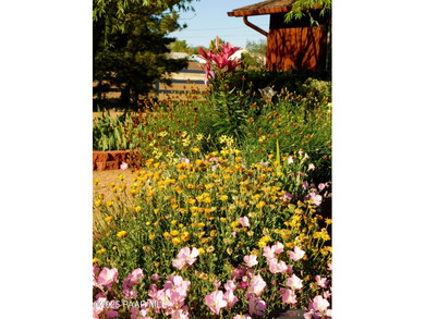 This wonderful home offers the perfect location, situated on one