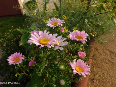 This wonderful home offers the perfect location, situated on one