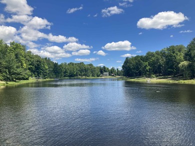(private lake, pond, creek) Lot For Sale in Alger Michigan