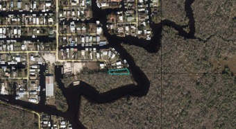 Lake Lot Off Market in Suwannee, Florida