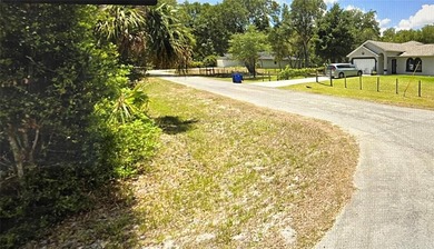 Lehigh Acres Area Lot For Sale in Lehigh Acres Florida