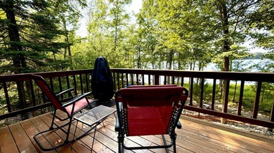 Rare Opportunity on Pine Lake! Homes on this sought-after lake - photo 23