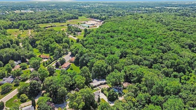 Welcome Home to 403 Mineral Springs Blvd! Imagine waking up in a - photo 33