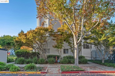 Welcome to 1207 Melville Sq #417, a beautifully updated 2BD/2BA