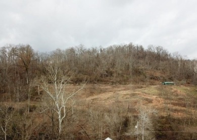 Lake Lot For Sale in Chesapeake, Ohio