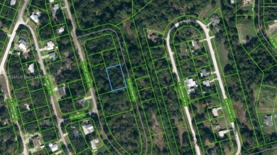 Lake Lot For Sale in Avon Park, Florida