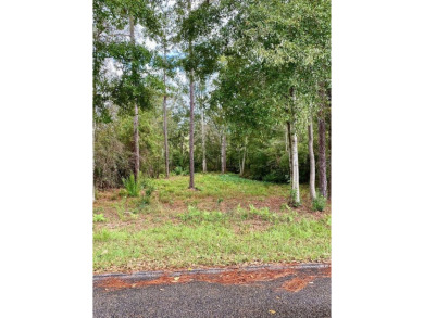 Lake Lot For Sale in Carriere, Mississippi