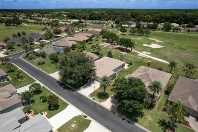 NEW ROOF (2025)! GOLF COURSE home! GOLF CART GARAGE! NEW (2024) - photo 30