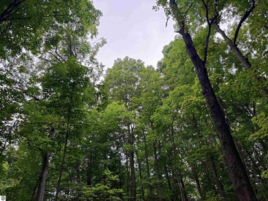 Escape to your own private Northern Michigan retreat with this - photo 50