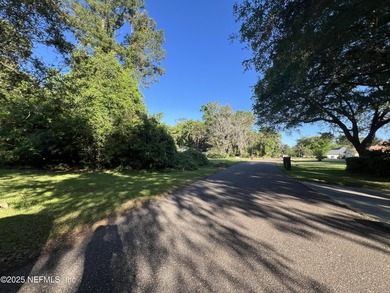 81 acre lot available in NE Jacksonville. Located in a - photo 5