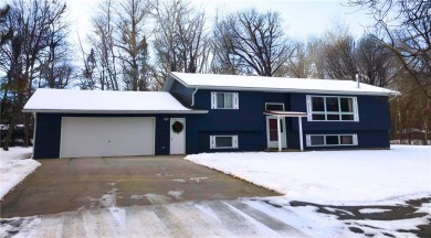 Leech Lake Home Sale Pending in Walker Minnesota