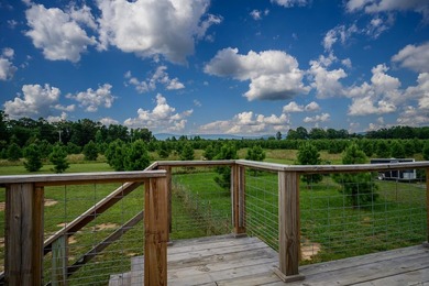 Tucked away on 3.01 private acres in the Ouachita Mountains - photo 34