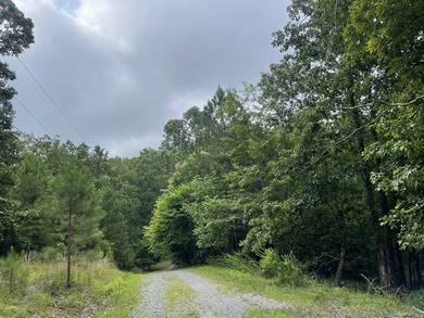 Carters Lake Lot Sale Pending in Ranger Georgia