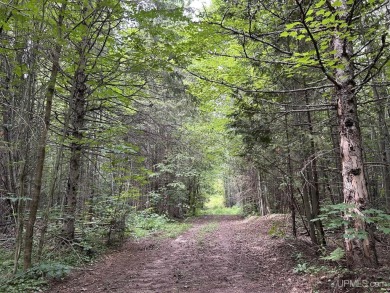 Lake Acreage For Sale in Atlantic Mine, Michigan