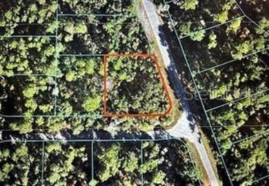 (private lake, pond, creek) Lot For Sale in Ocklawaha Florida