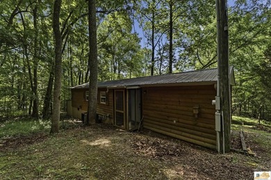 Looking for an affordable lake getaway, profitable  investment - photo 20