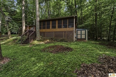 Looking for an affordable lake getaway, profitable  investment - photo 21