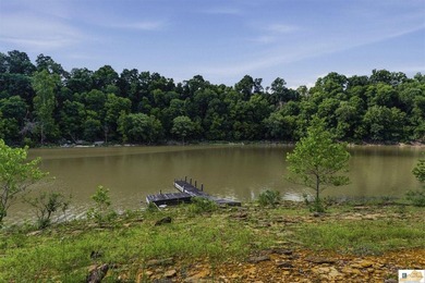 Looking for an affordable lake getaway, profitable  investment - photo 22