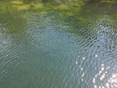 Listen. It's the sound of life on the lake and it's calling you - photo 31