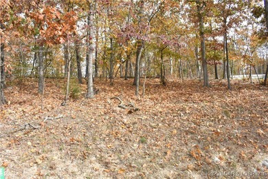 Perfect 2nd tier lot with seasonal lakeviews and just around the - photo 3
