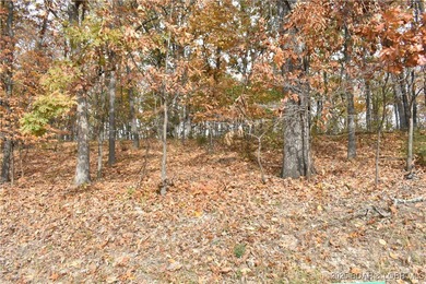Perfect 2nd tier lot with seasonal lakeviews and just around the - photo 4