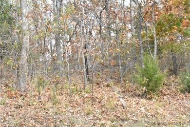 Lake Lot For Sale in Lake Ozark, Missouri