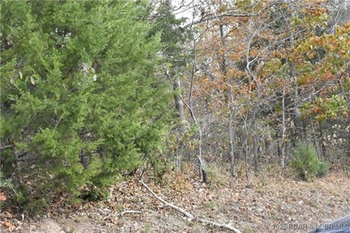 Perfect 2nd tier lot with seasonal lakeviews and just around the - photo 4