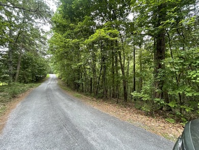 Carters Lake Lot Sale Pending in Ranger Georgia