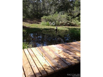 Explore the Untamed Beauty and Opportunity of Florida's Nature - photo 12