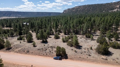 Ramah Reservoir Acreage For Sale in Ramah New Mexico
