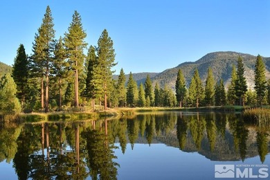 Clear Creek Tahoe is Northern Nevada's most exciting new - photo 21