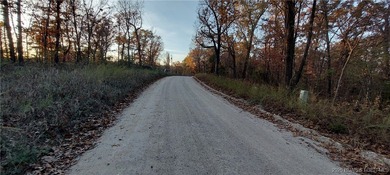 Here is your chance to own a spacious vacant lot with tremendous - photo 2