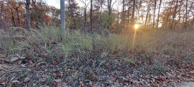 Here is your chance to own a spacious vacant lot with tremendous - photo 3