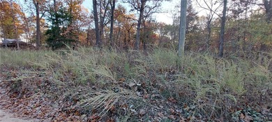 Here is your chance to own a spacious vacant lot with tremendous - photo 4