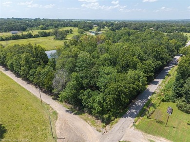 (private lake, pond, creek) Commercial Active Under Contract in Lavaca Arkansas